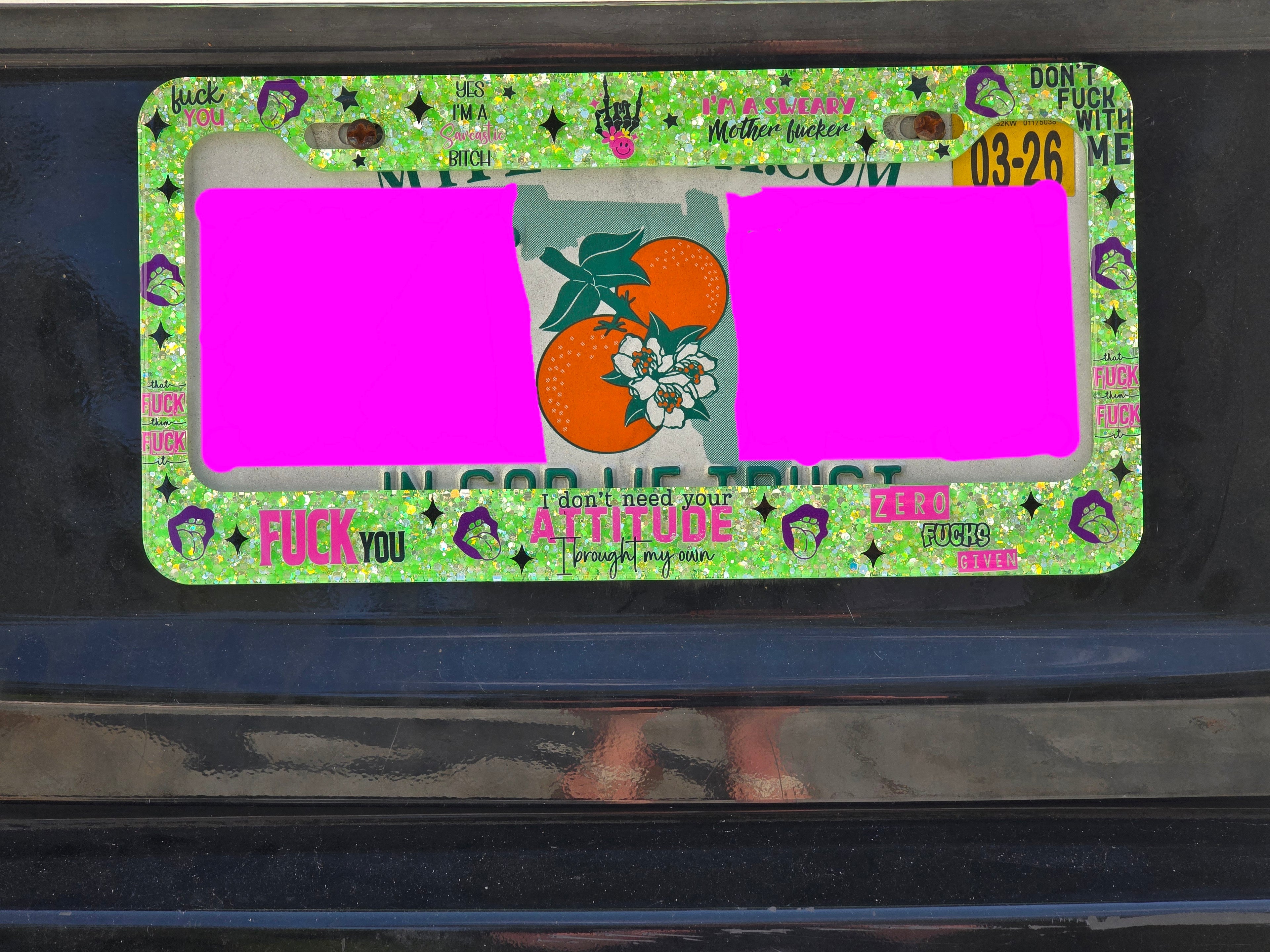License Plate Frame